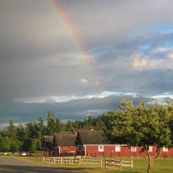 Somewhere, under the rainbow…good times were had.